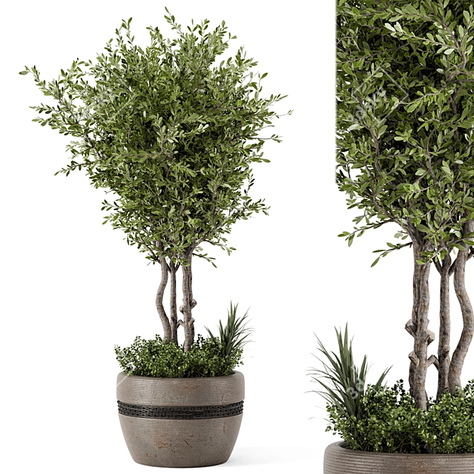 Rustic Concrete Pot with Outdoor Bush and Tree 3D model image 1