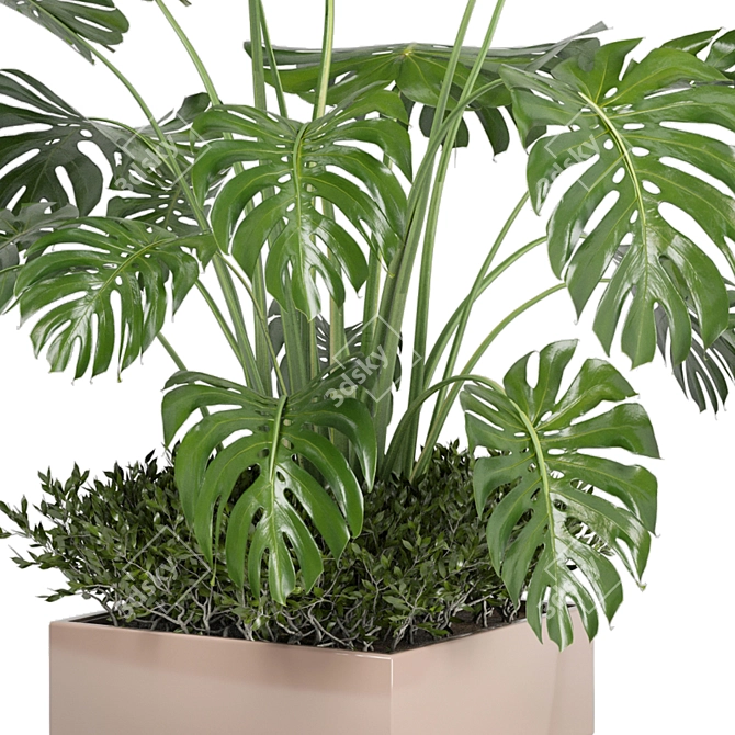 Bau Pot Large Indoor Plants Set 3D model image 2