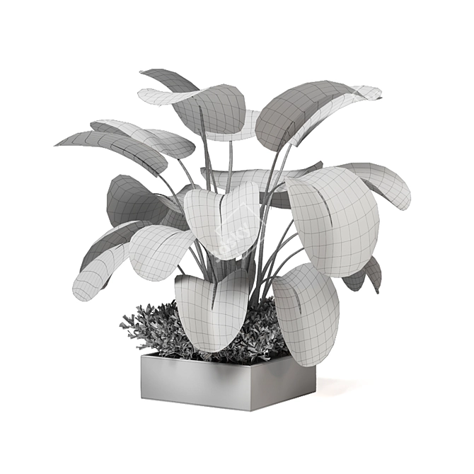 Bau Pot Large Indoor Plants Set 3D model image 5