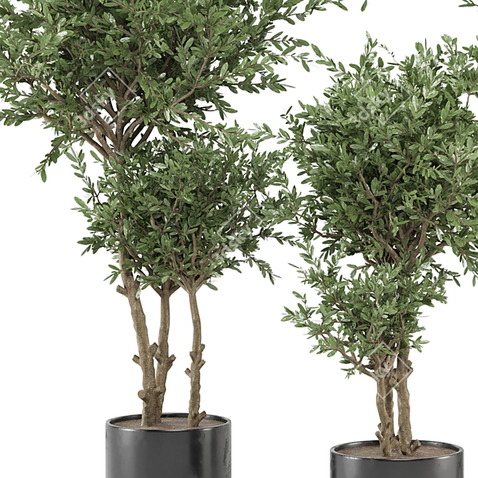 Modern Indoor Plants Set - Ferm Living Bau Pot 3D model image 2