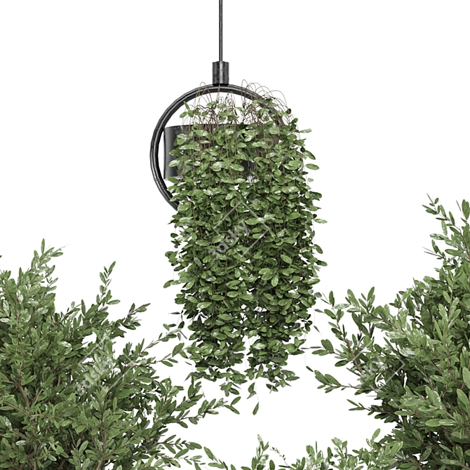 Modern Indoor Plants Set - Ferm Living Bau Pot 3D model image 3
