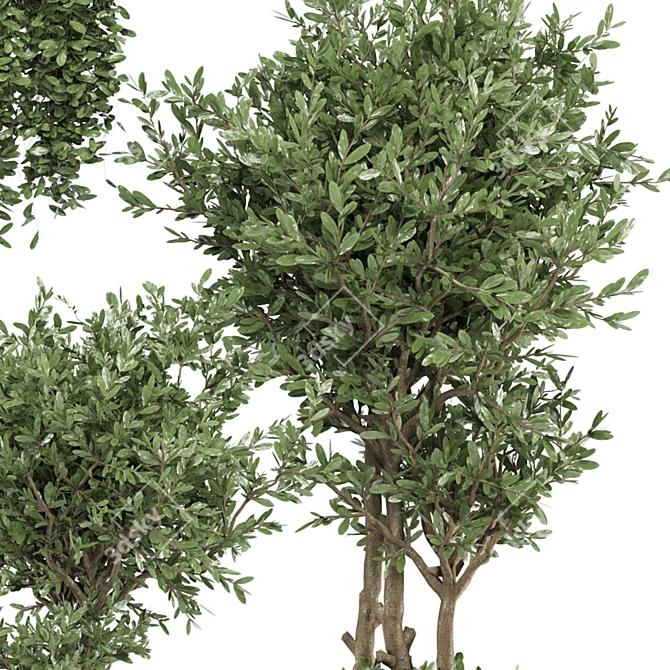 Modern Indoor Plants Set - Ferm Living Bau Pot 3D model image 4