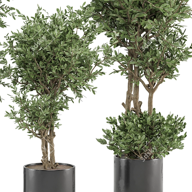 Modern Indoor Plants Set - Ferm Living Bau Pot 3D model image 5