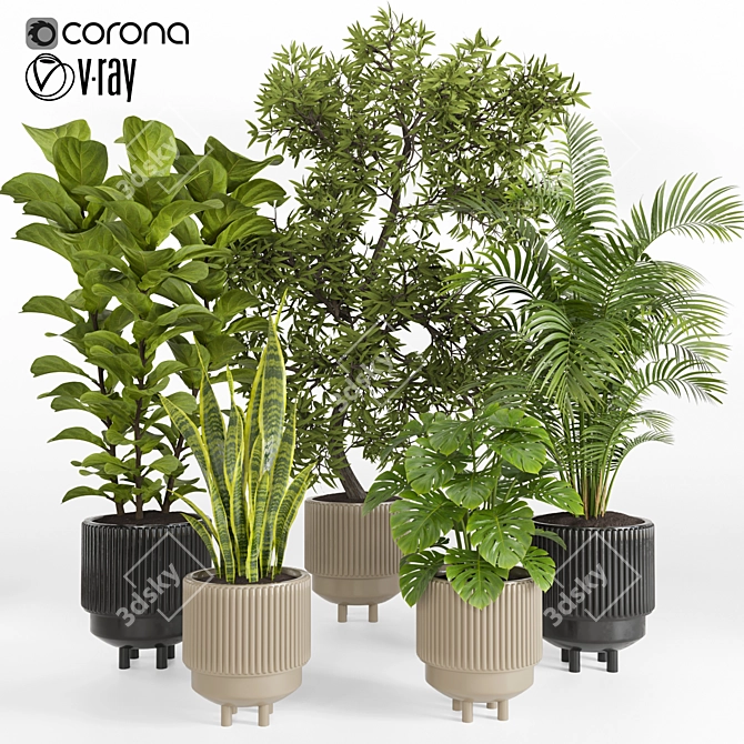 Tropical Houseplants in Stone Pots 3D model image 1