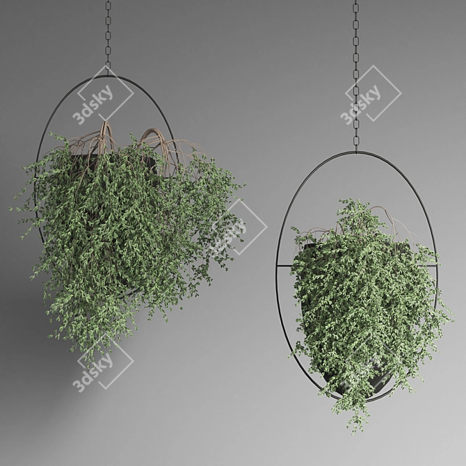 Indoor Plant Collection 17 3D model image 4