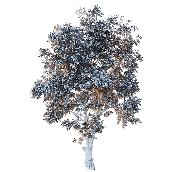 Glorious Honey Locust Tree 3D model image 4