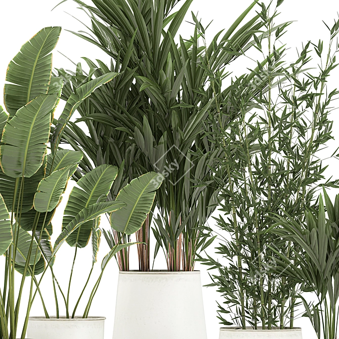 Exotic Indoor Plant Collection 3D model image 3