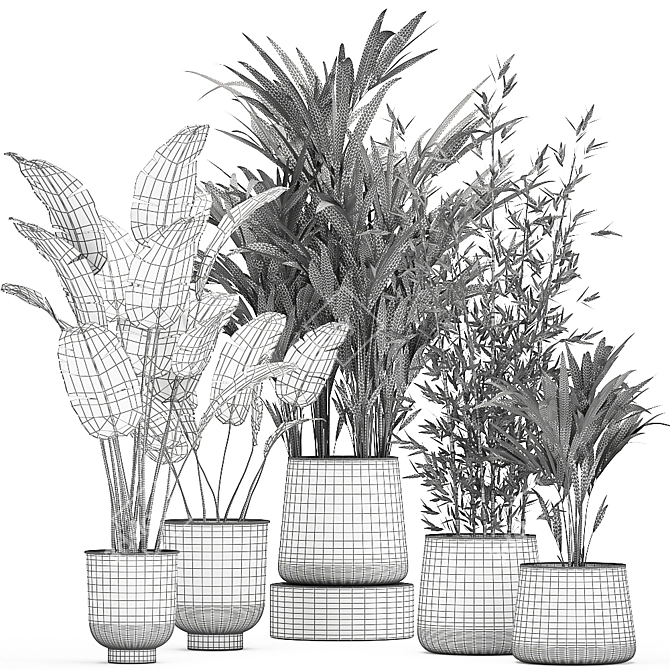 Exotic Indoor Plant Collection 3D model image 6