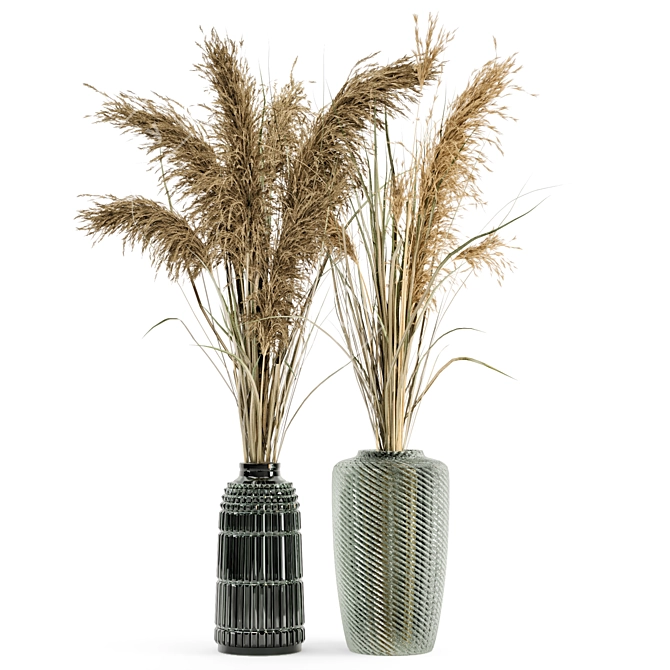 Elegant Dry Plant Bouquet in Glass Pot 3D model image 4