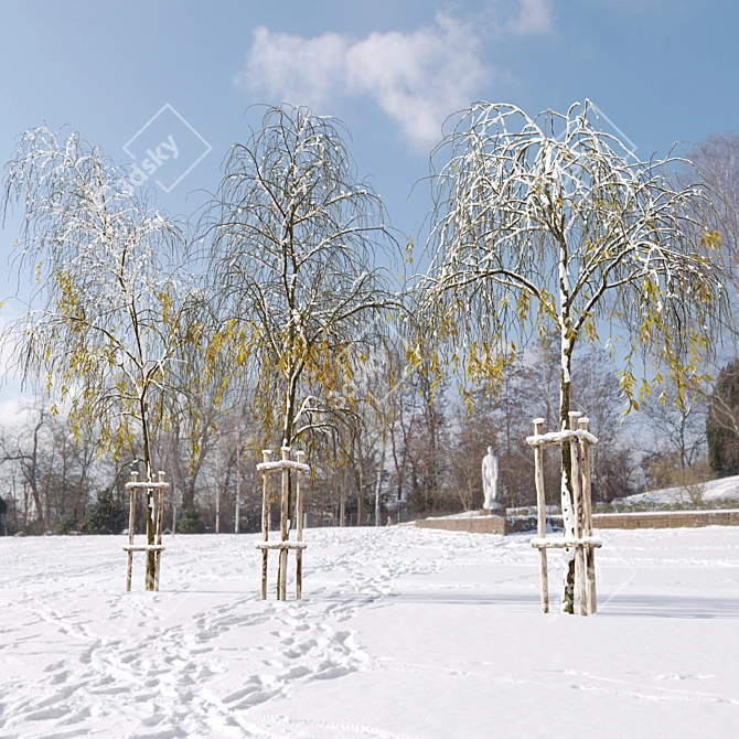 Winter Willow Tree Bundle: 3 Sizes, with Detachable Wooden Guard 3D model image 2