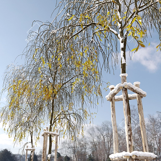 Winter Willow Tree Bundle: 3 Sizes, with Detachable Wooden Guard 3D model image 3