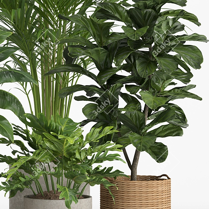 Tropical Rattan Plant Set 3D model image 3