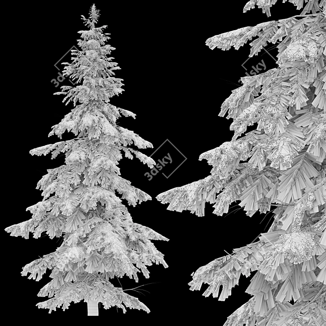 West Himalayan Fir Tree - 2 Models - Vray and Corona Materials 3D model image 4