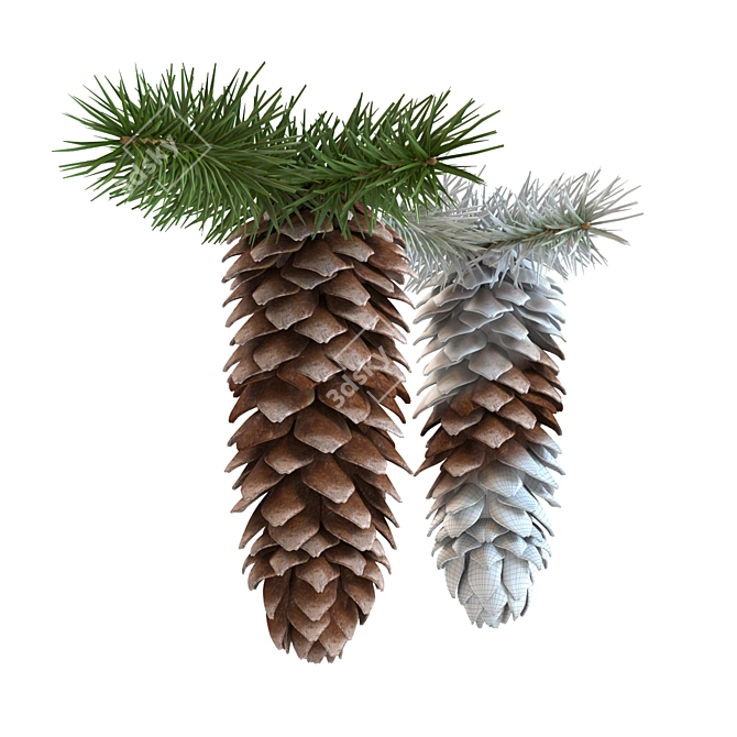 Evergreen Elegance: Spruce Cones & Branches 3D model image 1