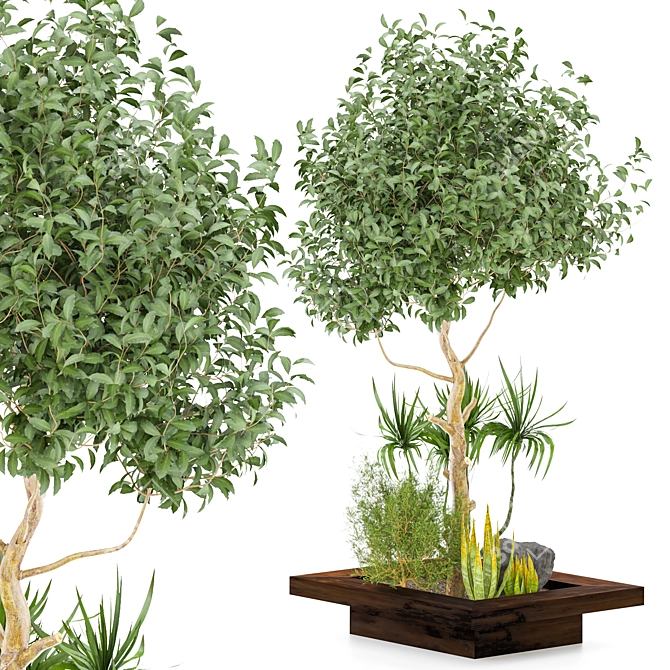 Outdoor Plant Vol. 28: Versatile 2015 Model 3D model image 1