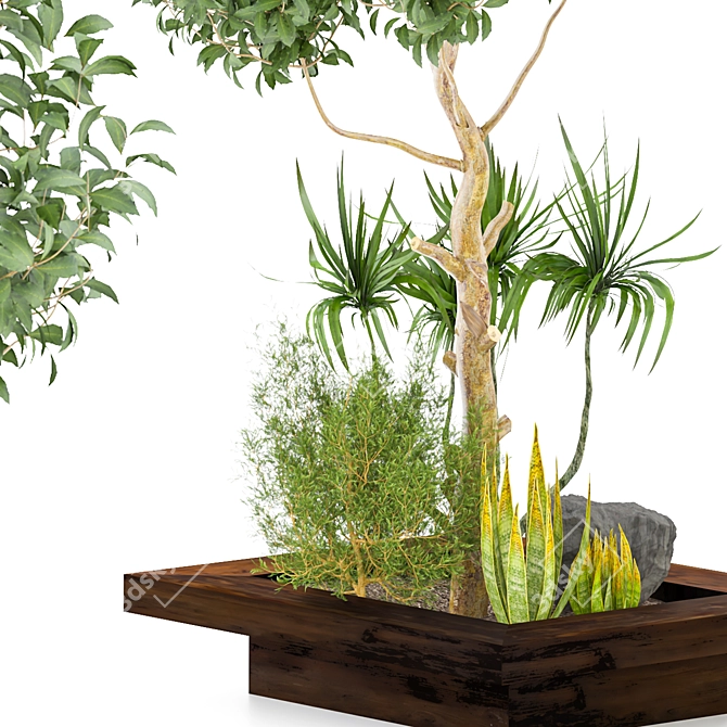 Outdoor Plant Vol. 28: Versatile 2015 Model 3D model image 2