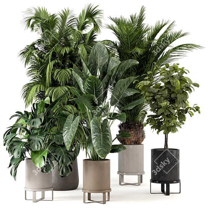 Ferm Living Bau Pot Large - Set of Indoor Plants 3D model image 1