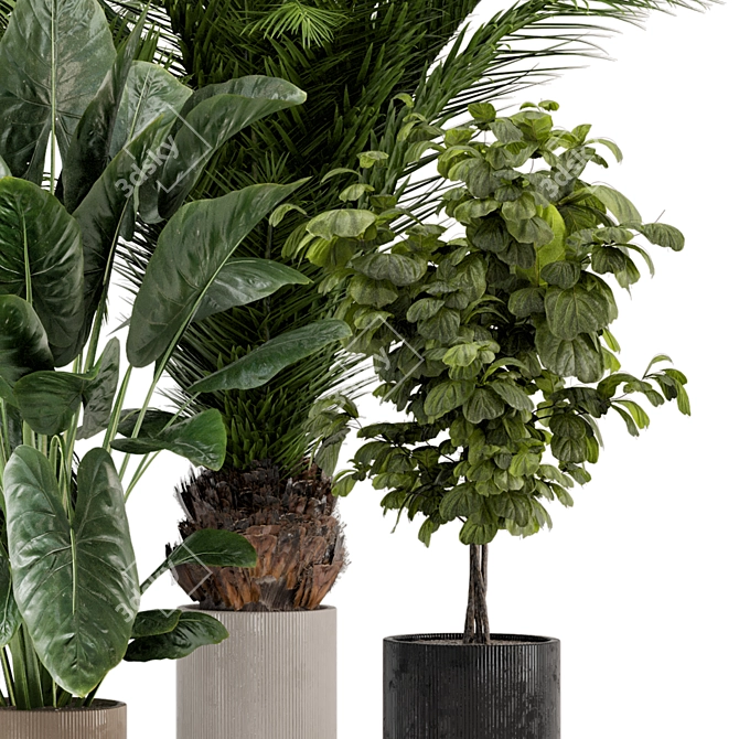 Ferm Living Bau Pot Large - Set of Indoor Plants 3D model image 3