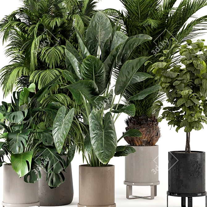 Ferm Living Bau Pot Large - Set of Indoor Plants 3D model image 6
