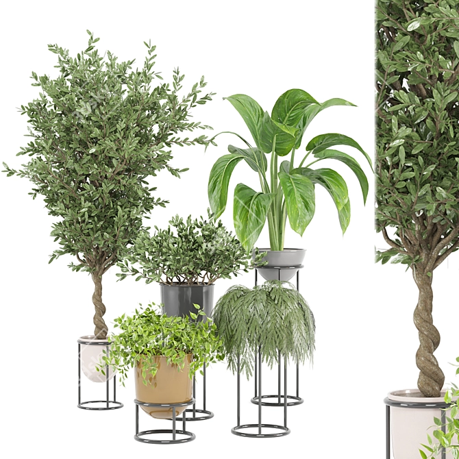 Indoor Greenery Set | Ferm Living Bau Pot Large 3D model image 1