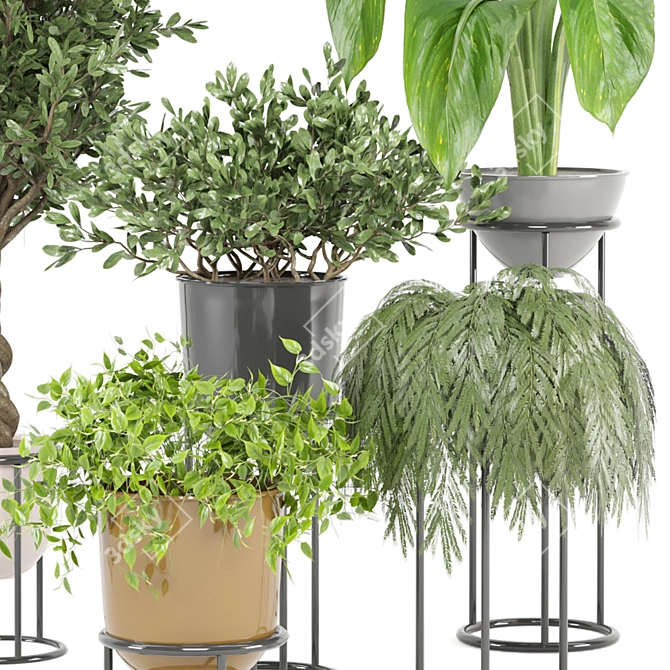 Indoor Greenery Set | Ferm Living Bau Pot Large 3D model image 2