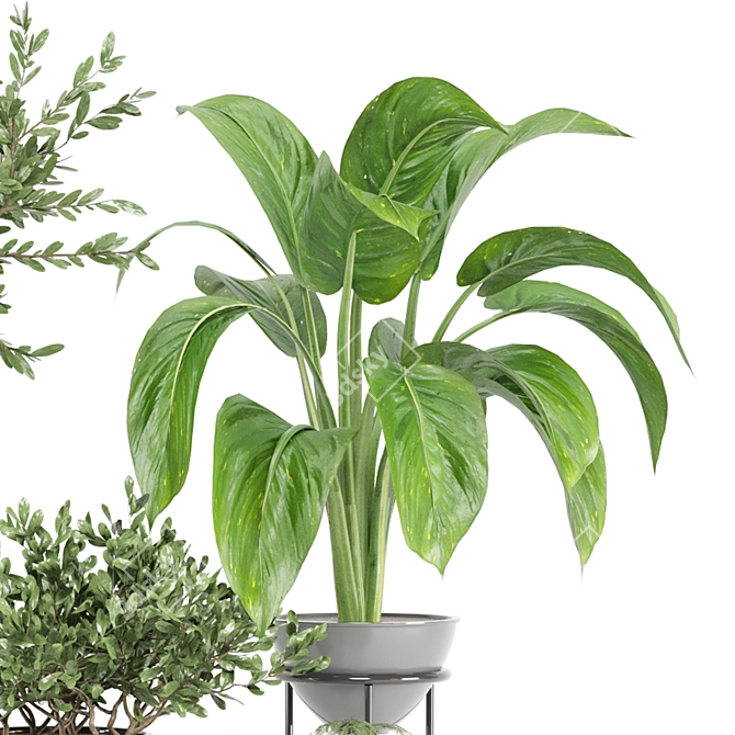 Indoor Greenery Set | Ferm Living Bau Pot Large 3D model image 3