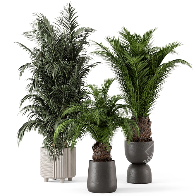 Rustic Concrete Pot Plant Set 3D model image 1