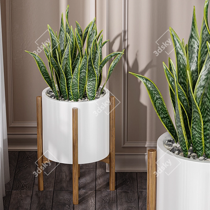 Office Snake Plant: 3D Model 3D model image 2