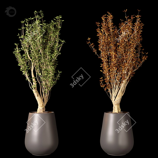 High-Quality 3D Plant Model 3D model image 1