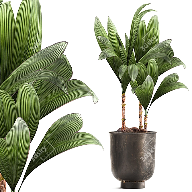 Tropical Loft Plant Collection 3D model image 1