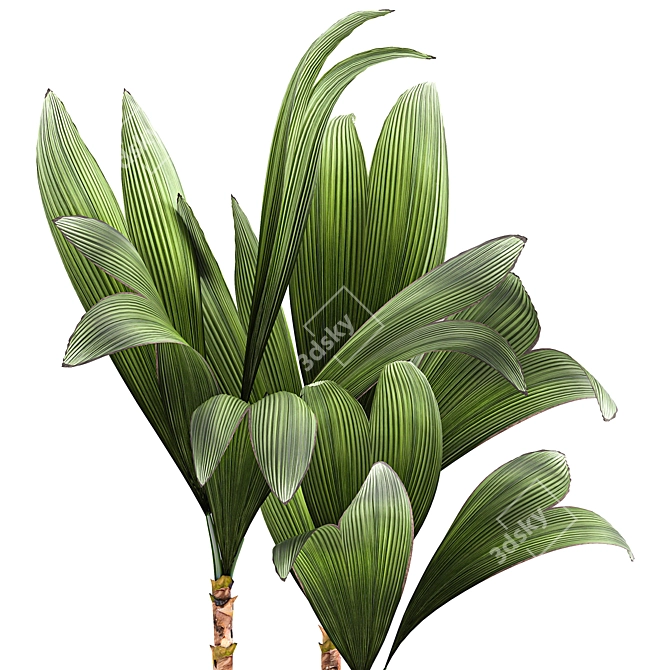 Tropical Loft Plant Collection 3D model image 4