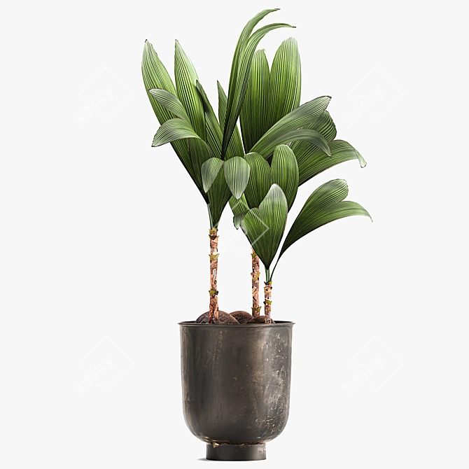 Tropical Loft Plant Collection 3D model image 5