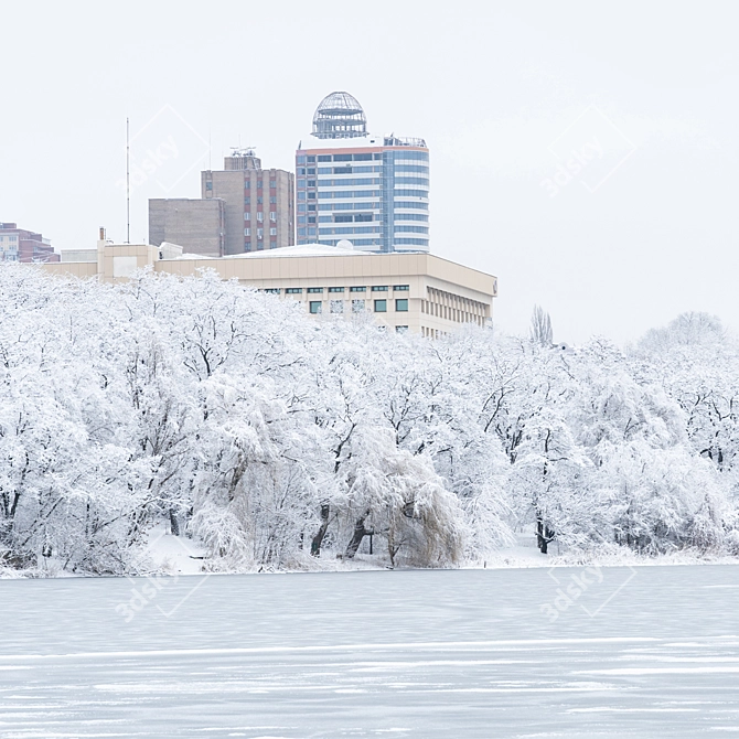 Winter Wonderland: Lake & Cityscape View 3D model image 5