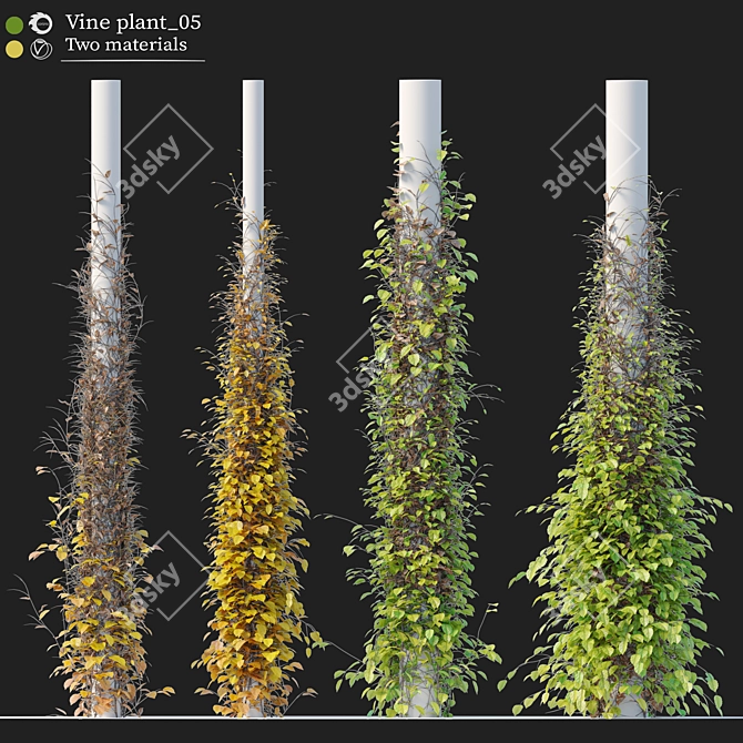 Versatile Vine Plants for Columns 3D model image 1