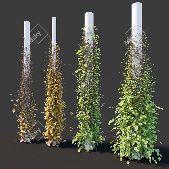 Versatile Vine Plants for Columns 3D model image 2