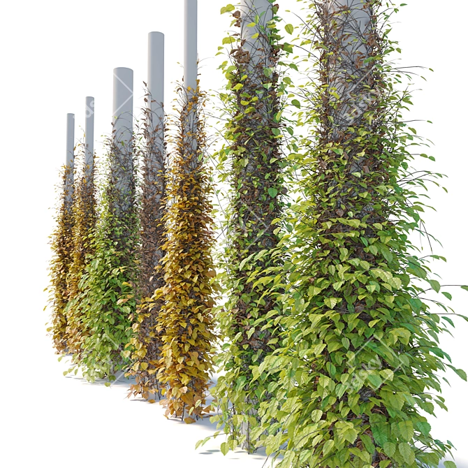 Versatile Vine Plants for Columns 3D model image 3