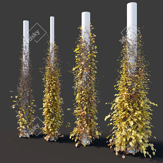 Versatile Vine Plants for Columns 3D model image 5