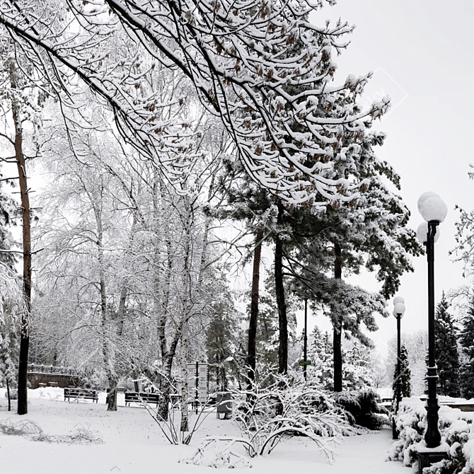 Winter Wonderland HDRI Pack 3D model image 3