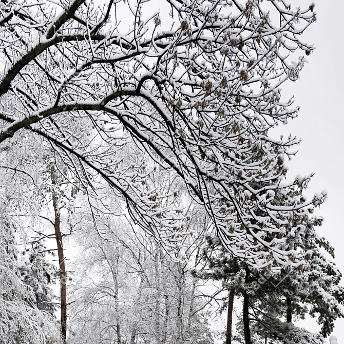 Winter Wonderland HDRI Pack 3D model image 6