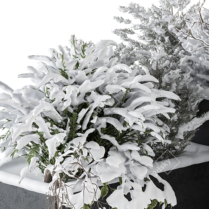 Snowy Outdoor Plant Box Set. 3D model image 2