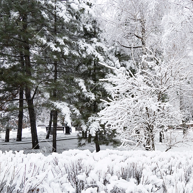 Winter Wonderland: Park Panorama 3D model image 3