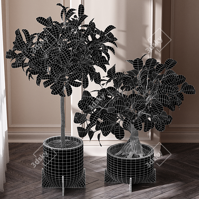 Natural Ficus Sam & Jim House Plants 3D model image 5