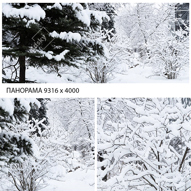 Winter Twigs Panorama. High-Res Image. 3D model image 1