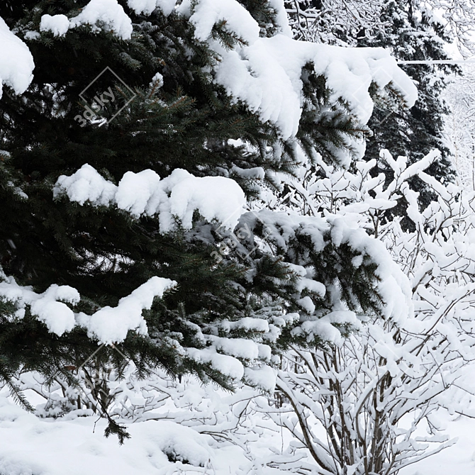 Winter Twigs Panorama. High-Res Image. 3D model image 2