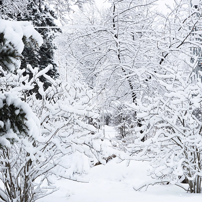 Winter Twigs Panorama. High-Res Image. 3D model image 3