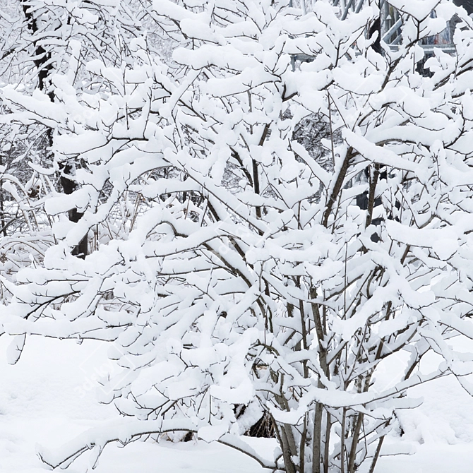 Winter Twigs Panorama. High-Res Image. 3D model image 4