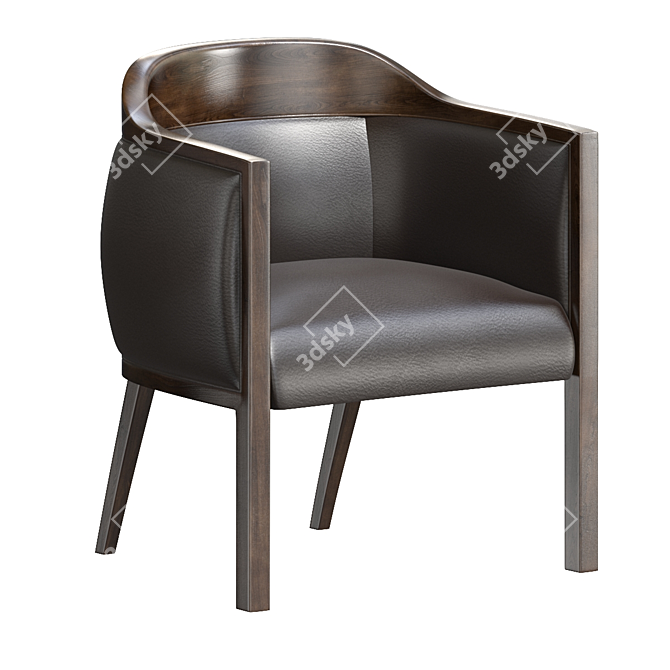 Sleek Tirolo Easy Chair 3D model image 2