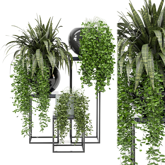 Indoor Greenery Collection - Set 171 3D model image 1