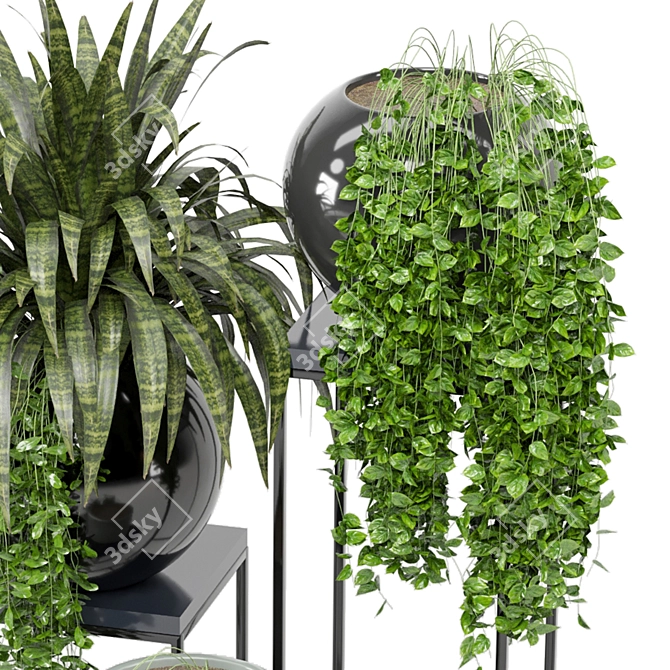 Indoor Greenery Collection - Set 171 3D model image 4