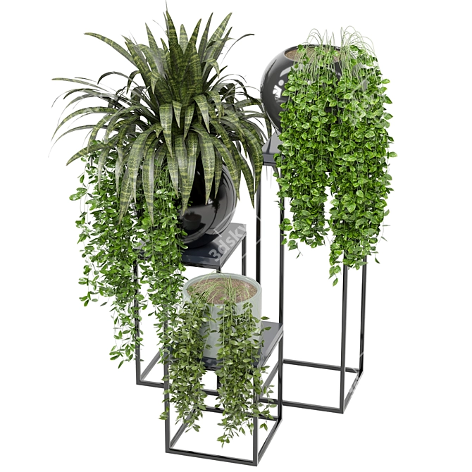 Indoor Greenery Collection - Set 171 3D model image 6